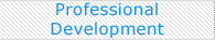 Professional Development